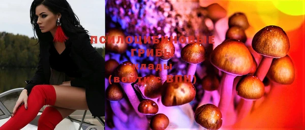шишки Магас