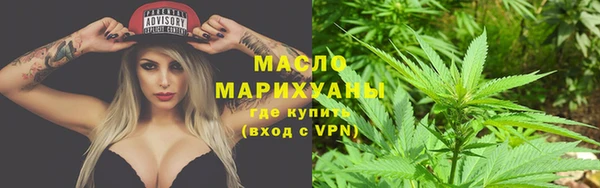 шишки Магас
