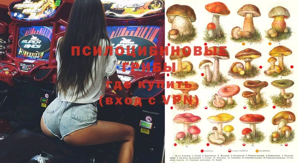 МДПВ Лиски