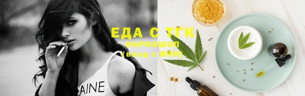 шишки Магас
