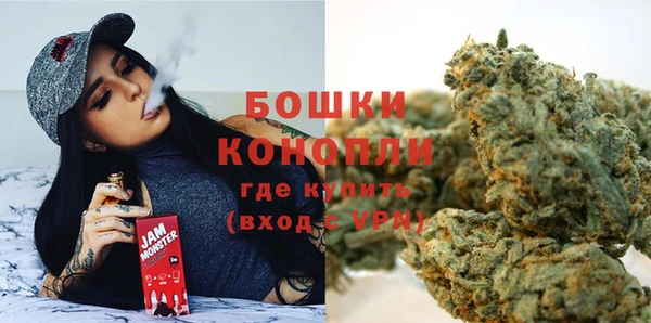 МДПВ Лиски