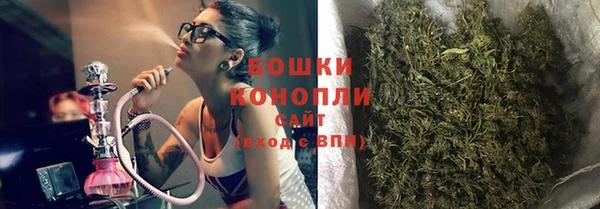 МДПВ Лиски